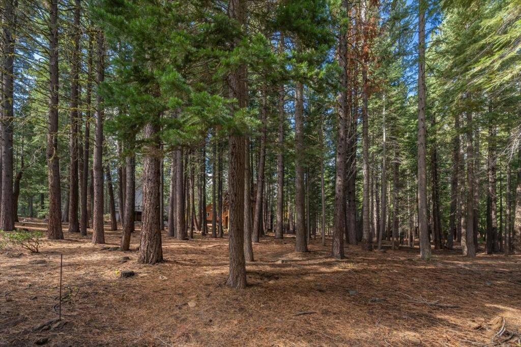3Br Tahoe Donner Cabin With Hoa Perks Like Pools Hot-Tub Minutes To Trails Lake Golf Truckee Exterior photo